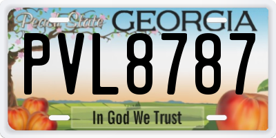 GA license plate PVL8787