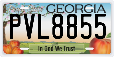 GA license plate PVL8855