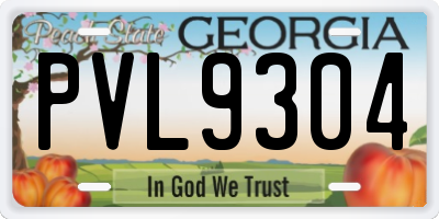 GA license plate PVL9304