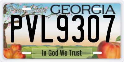 GA license plate PVL9307