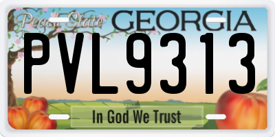 GA license plate PVL9313