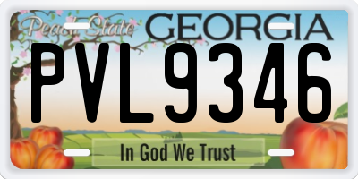 GA license plate PVL9346