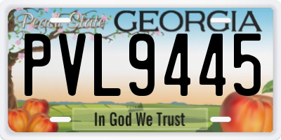 GA license plate PVL9445