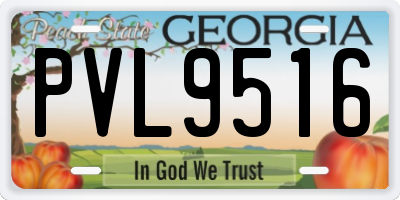 GA license plate PVL9516