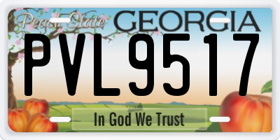 GA license plate PVL9517