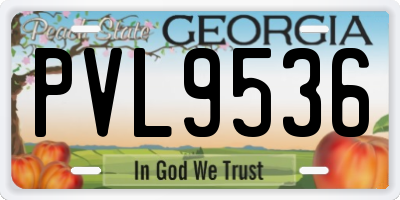 GA license plate PVL9536