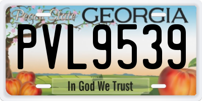 GA license plate PVL9539
