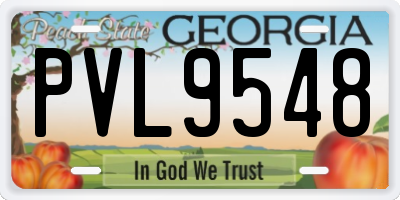 GA license plate PVL9548