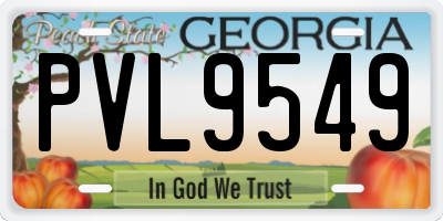 GA license plate PVL9549