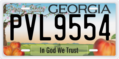 GA license plate PVL9554