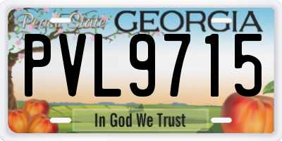 GA license plate PVL9715