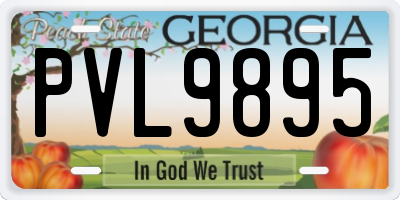 GA license plate PVL9895