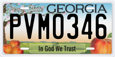 GA license plate PVM0346