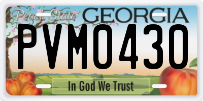 GA license plate PVM0430