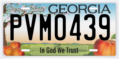 GA license plate PVM0439