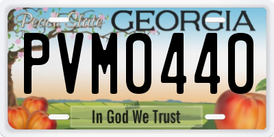 GA license plate PVM0440