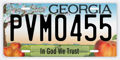 GA license plate PVM0455