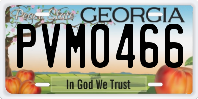 GA license plate PVM0466