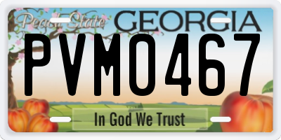 GA license plate PVM0467