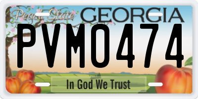 GA license plate PVM0474