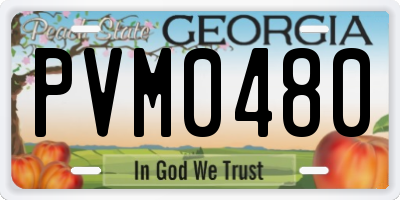 GA license plate PVM0480