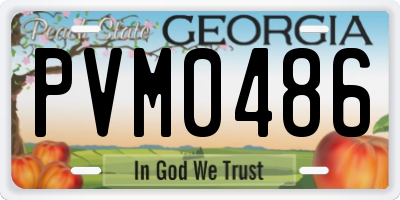 GA license plate PVM0486