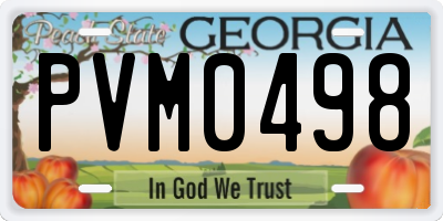 GA license plate PVM0498