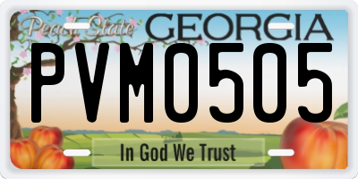 GA license plate PVM0505