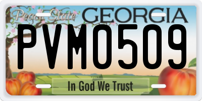 GA license plate PVM0509