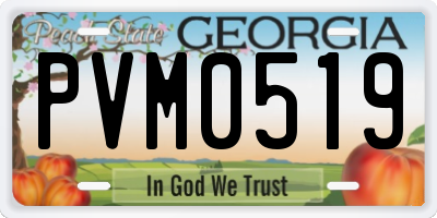 GA license plate PVM0519