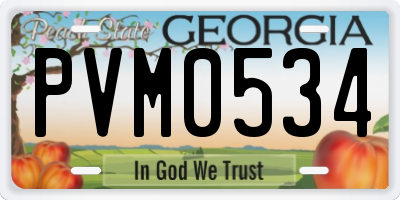 GA license plate PVM0534