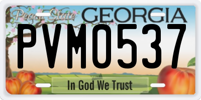 GA license plate PVM0537