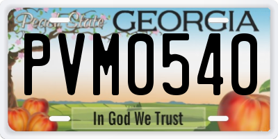 GA license plate PVM0540