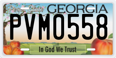 GA license plate PVM0558