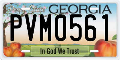 GA license plate PVM0561