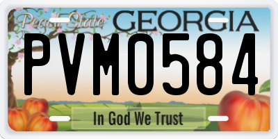 GA license plate PVM0584