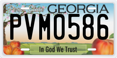 GA license plate PVM0586
