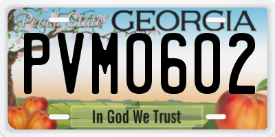 GA license plate PVM0602