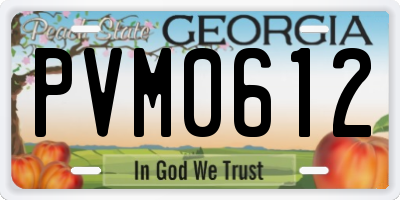 GA license plate PVM0612
