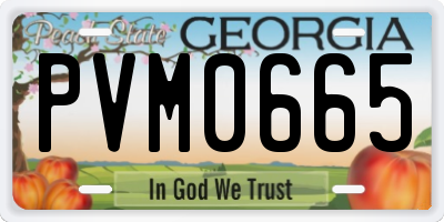 GA license plate PVM0665