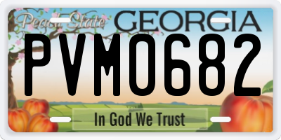 GA license plate PVM0682