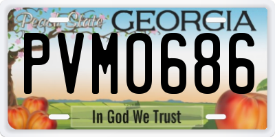 GA license plate PVM0686