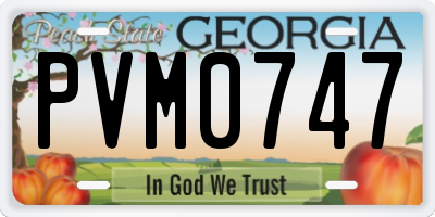GA license plate PVM0747
