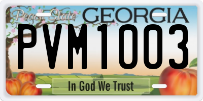 GA license plate PVM1003