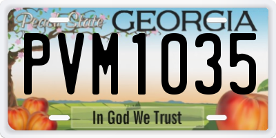 GA license plate PVM1035