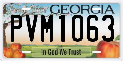 GA license plate PVM1063