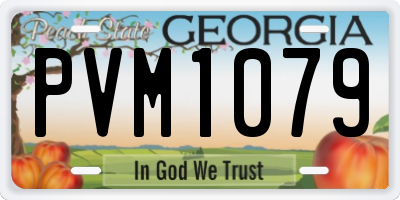 GA license plate PVM1079