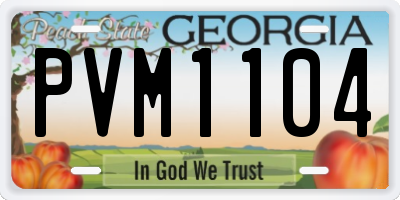 GA license plate PVM1104