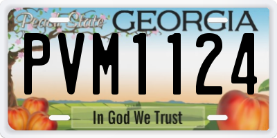GA license plate PVM1124