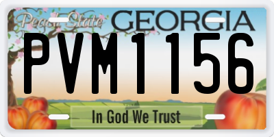 GA license plate PVM1156